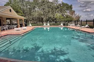 4920 Chatham Gate Dr, Riverview, FL 33578 - Photo 21
