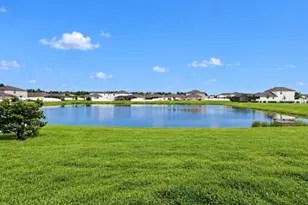 11911 Field Thistle Ct, Riverview, FL 33579 - Photo 51