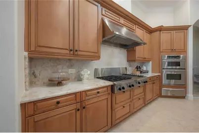 21228 Quiet Haven Court, Land O Lakes, FL 34637 - Photo 7