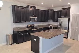 13917 Roseate Tern Ln, Riverview, FL 33579 - Photo 9