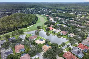 9101 Woodridge Run Dr, Tampa, FL 33647 - Photo 91