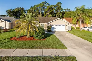 5343 Sagamore Ct, New Port Richey, FL 34655 - Photo 3