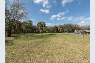 6513 S County Line Road, Plant City, FL 33567 - Photo 15