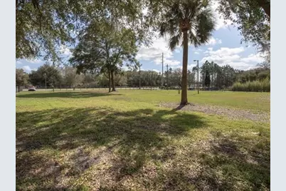 6513 S County Line Road, Plant City, FL 33567 - Photo 7