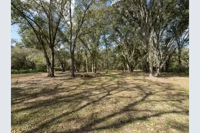 6513 S County Line Road, Plant City, FL 33567 - Photo 9