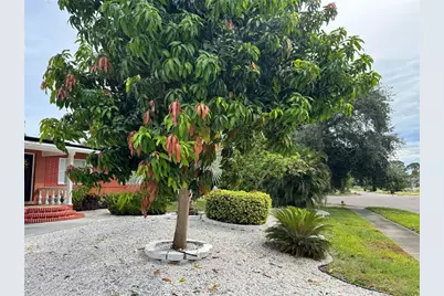 401 46th Avenue S, Saint Petersburg, FL 33705 - Photo 51