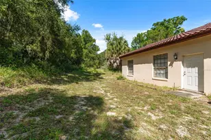 8943 Silver Lake Dr, Leesburg, FL 34788 - Photo 53