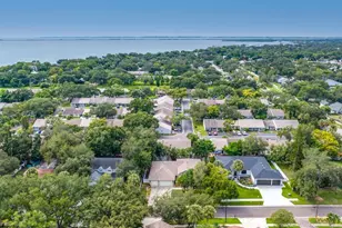 114 Irwin St E, Safety Harbor, FL 34695 - Photo 65