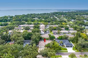 114 Irwin St E, Safety Harbor, FL 34695 - Photo 63