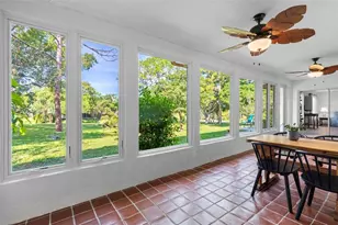 1681 Macdonnell Ct, Palm Harbor, FL 34684 - Photo 5