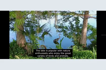 101st Street, Largo, FL 33773 - Photo 11