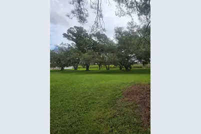 101st Street, Largo, FL 33773 - Photo 5