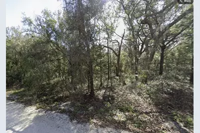 34086 Arrowrock Street, Webster, FL 33597 - Photo 1