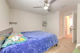 11402 Stone Pine St, Riverview, FL 33569 - Photo 47