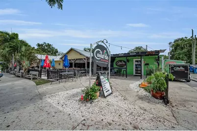 1402 Nebraska Avenue, Palm Harbor, FL 34683 - Photo 49