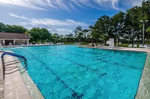 1619 Whithorn Pl, Palm Harbor, FL 34684 - Photo 39