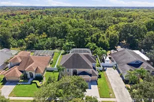 9228 Brindlewood Dr, Odessa, FL 33556 - Photo 59