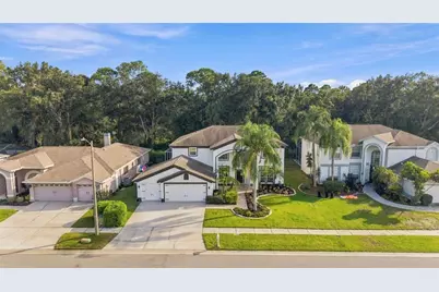 10102 Vista Pointe Dr, Tampa, FL 33635 - Photo 65