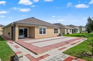 30820 Summer Sun Loop, Wesley Chapel, FL 33545 - Photo 57