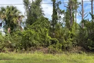 2814 Alesio Ave, North Port, FL 34286 - Photo 1