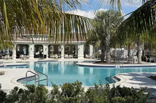 9912 Smarty Jones Dr, Ruskin, FL 33573 - Photo 39