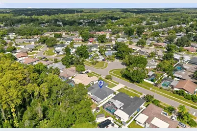 4206 Windtree Drive, Tampa, FL 33624 - Photo 51