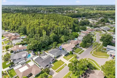 4206 Windtree Drive, Tampa, FL 33624 - Photo 49
