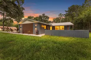 17818 Deerfield Dr, Lutz, FL 33558 - Photo 1