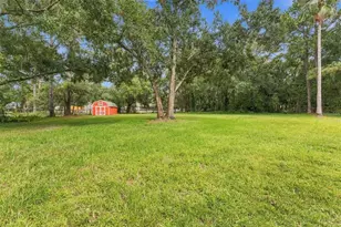 17818 Deerfield Dr, Lutz, FL 33558 - Photo 31