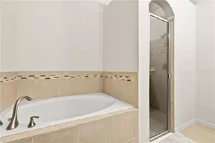 12511 Ballentrae Forest Dr, Riverview, FL 33579 - Photo 23