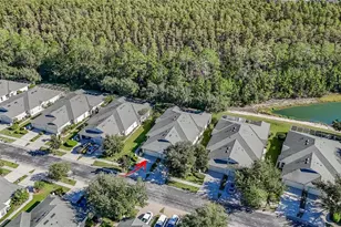 3428 Chapel Creek Cir, Wesley Chapel, FL 33544 - Photo 23