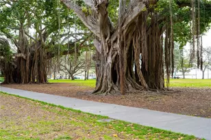 100 4th Ave S, Saint Petersburg, FL 33701 - Photo 37