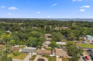 620 Palm Pl, Safety Harbor, FL 34695 - Photo 45