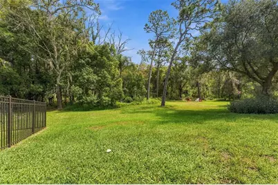3508 Majestic View Drive, Lutz, FL 33558 - Photo 59