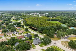 24415 Rolling View Ct, Lutz, FL 33559 - Photo 47