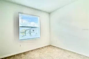 11407 Velvet Apricot Dr, Land O Lakes, FL 34638 - Photo 39