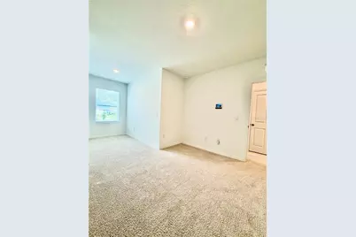 11407 Velvet Apricot Drive, Land O Lakes, FL 34638 - Photo 35