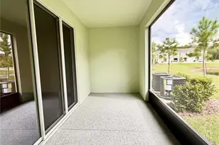 11407 Velvet Apricot Dr, Land O Lakes, FL 34638 - Photo 49