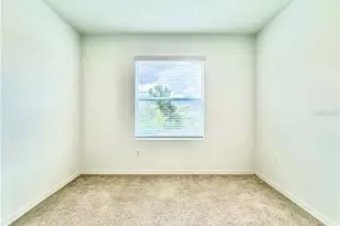 11407 Velvet Apricot Dr, Land O Lakes, FL 34638 - Photo 41