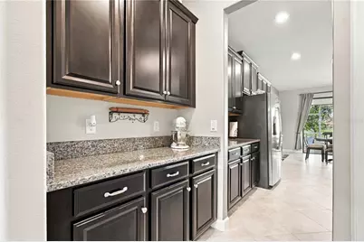 4195 Shrewbury Place, Land O Lakes, FL 34638 - Photo 17