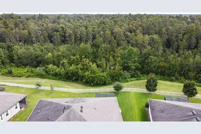 19357 Hawk Valley Drive, Tampa, FL 33647 - Photo 3