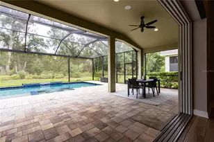 13303 Trailing Moss Dr, Dade City, FL 33525 - Photo 69