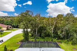 13303 Trailing Moss Dr, Dade City, FL 33525 - Photo 63