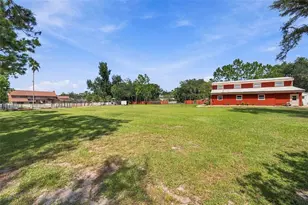 115 Hickory Creek Dr, Brandon, FL 33511 - Photo 65