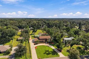 115 Hickory Creek Dr, Brandon, FL 33511 - Photo 75