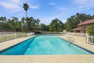 115 Hickory Creek Dr, Brandon, FL 33511 - Photo 75