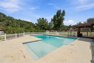 115 Hickory Creek Dr, Brandon, FL 33511 - Photo 69