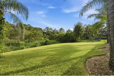 14637 Canopy Drive, Tampa, FL 33626 - Photo 41