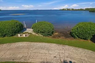 402 Orchid Ln, Palm Harbor, FL 34683 - Photo 29