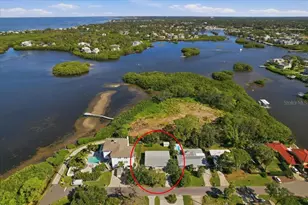 402 Orchid Ln, Palm Harbor, FL 34683 - Photo 1